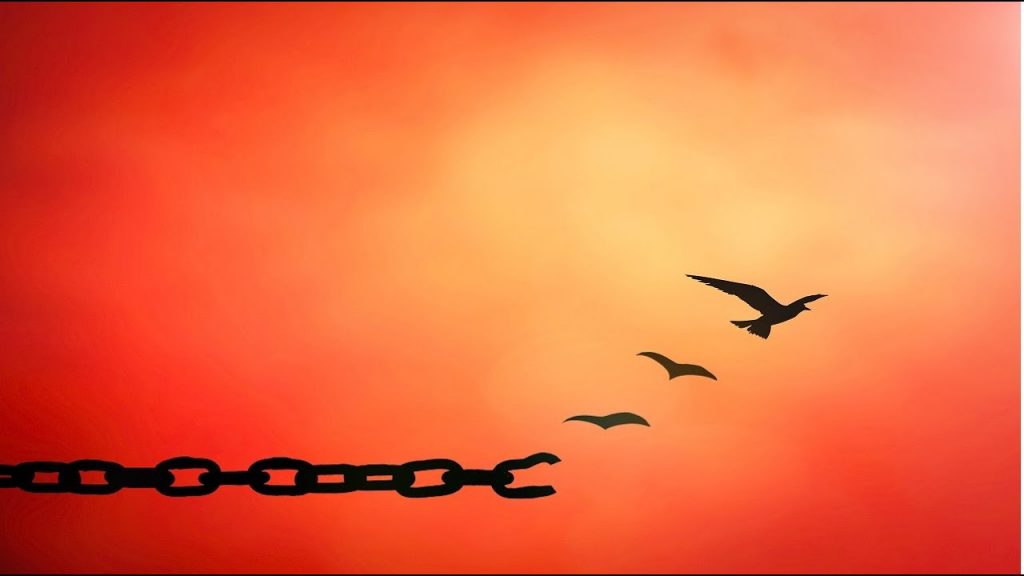 Let go
Chains
Freedom
Bird
Fly